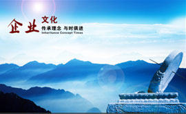 企业文化